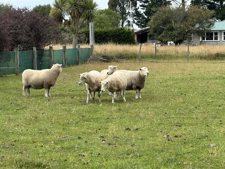 16 Buckley Street Waimate_9