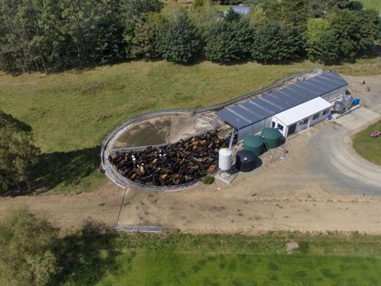 74 Reid Road Winton Surrounds_1