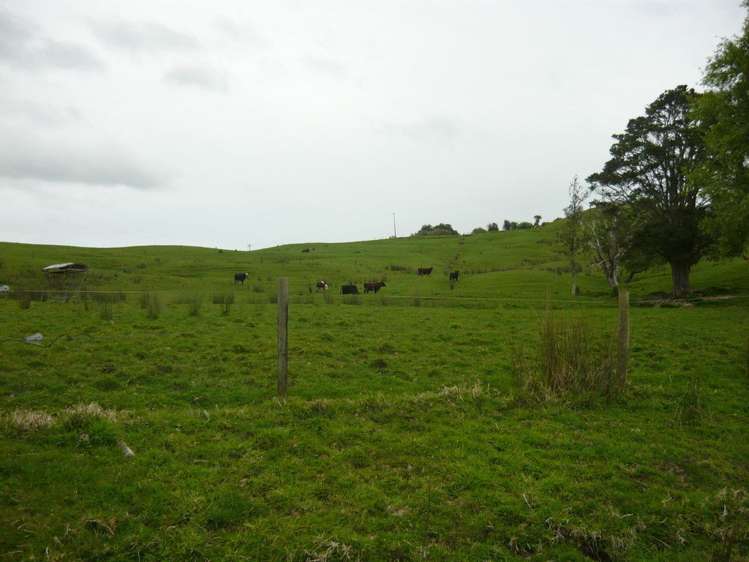 125 James Road Maungaturoto_3