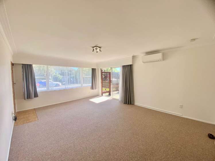 Taonui Street Rosehill_3