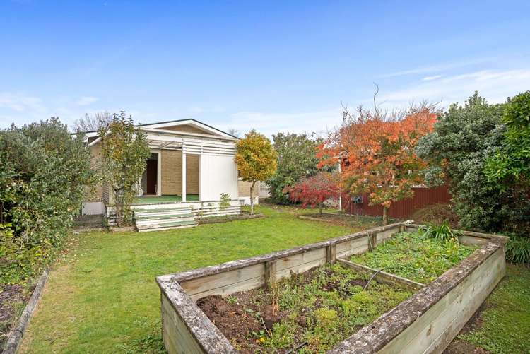 20 Plunket Street Solway_14