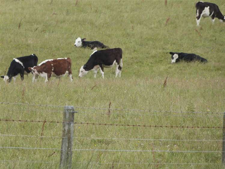 219 Robertson Road Winton Surrounds_35