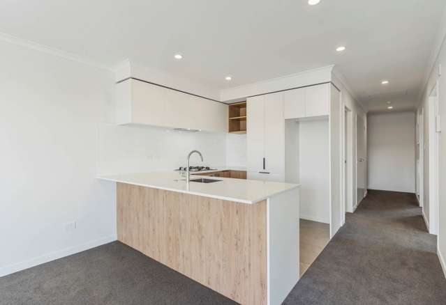 301/32 Shortfin Place Flat Bush_4