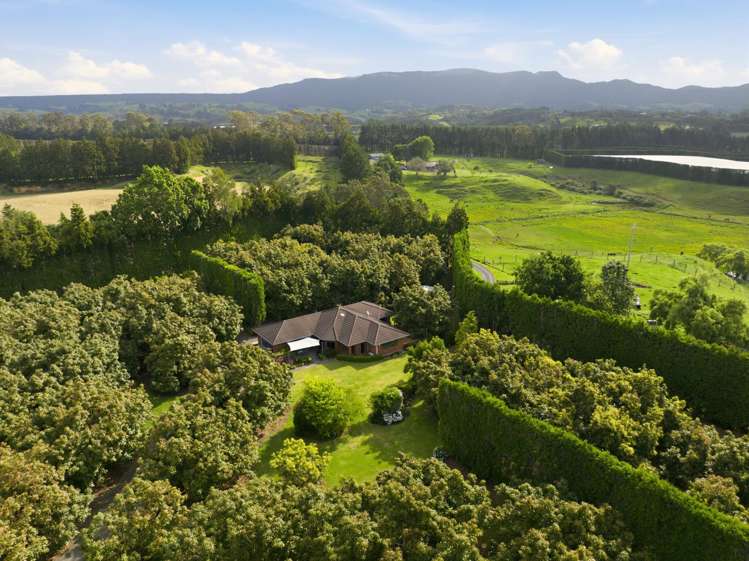 2165A State Highway 2 Aongatete_23