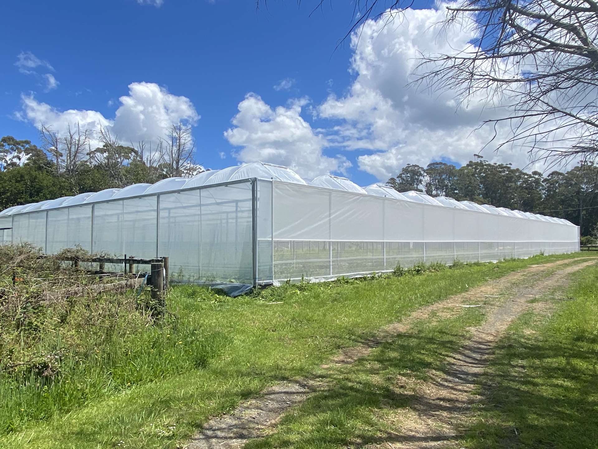 362 Wainui Road Wainui_0