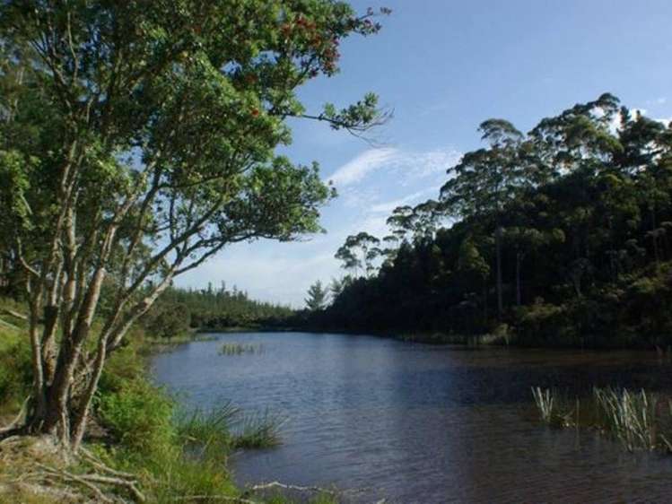 67 Wiroa Road Kerikeri_10