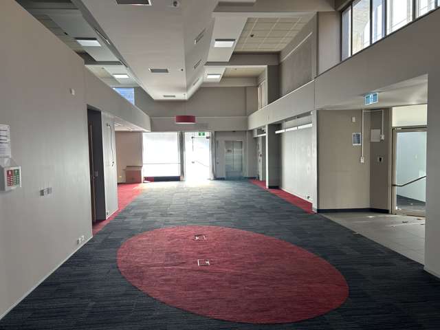 168 Trafalgar Street Nelson_4