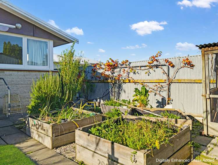 1107 Heretaunga Street East Parkvale_12