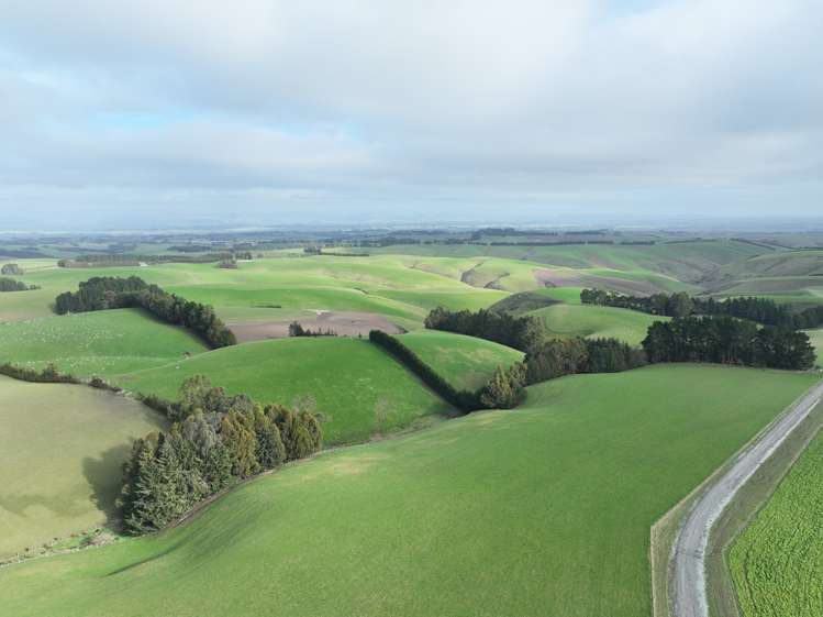 174 Mcculloch Road Balclutha_16