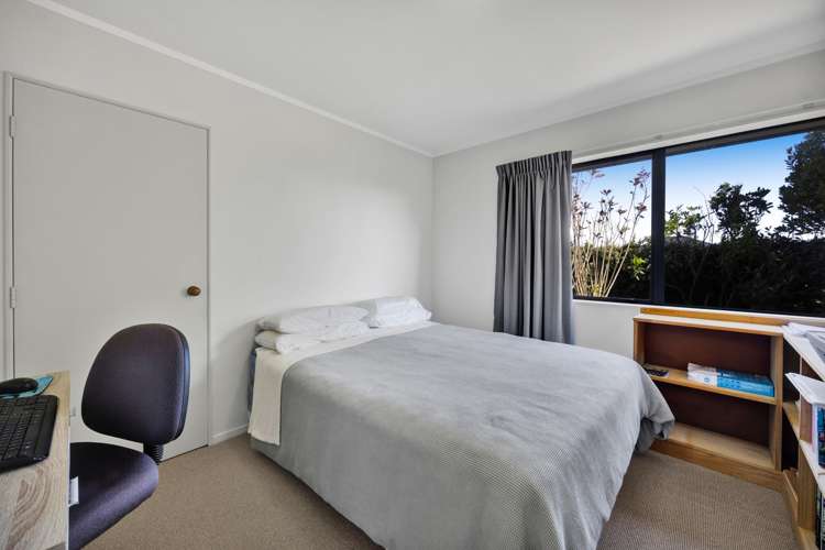 217 Carrington Street Vogeltown_8