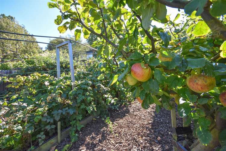 55 Rawhiti Street Musselburgh_17