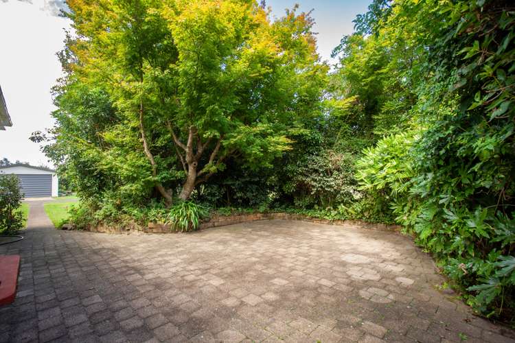 1632 Te Aroha-Gordon Road Manawaru_21