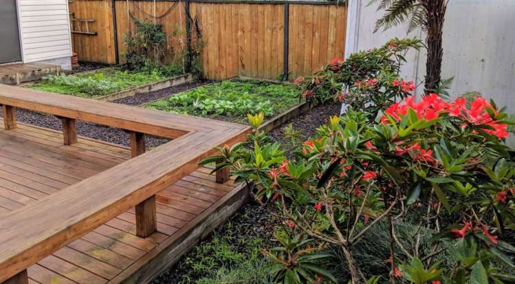 8 Katoa Street Point Chevalier_15