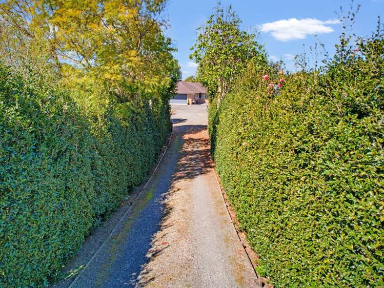 233 Waipapa Block Road Whakamarama_29