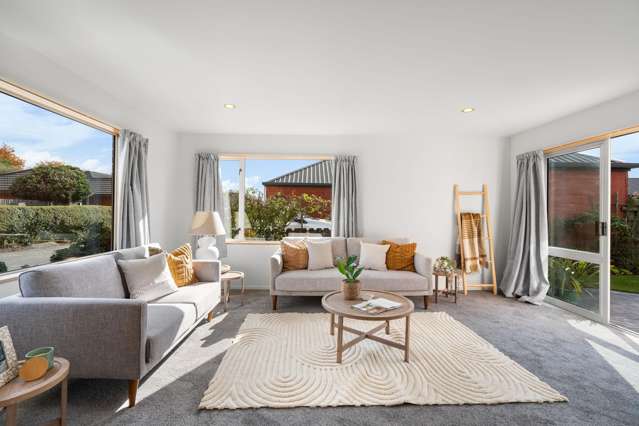 19 Mcleish Lane Spreydon_3