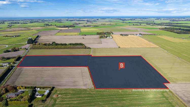 (10ha) Prossers Road Leeston_4