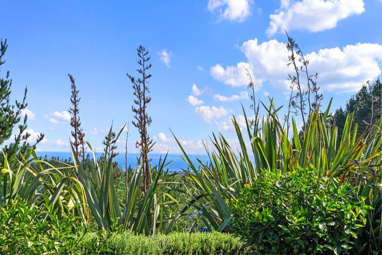 248 Reid Road Papamoa_29