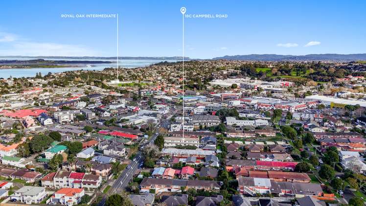 18c Campbell Road Royal Oak_30