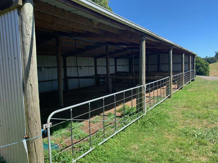 233 Goble Road Paeroa_13