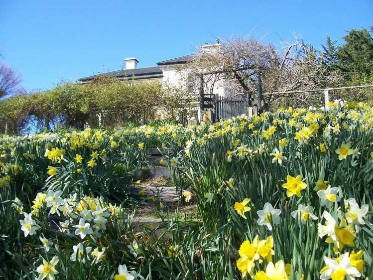 169 Mcnamaras Road Waimate_14