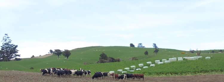 1726 Owaka Highway Kaka Point_12