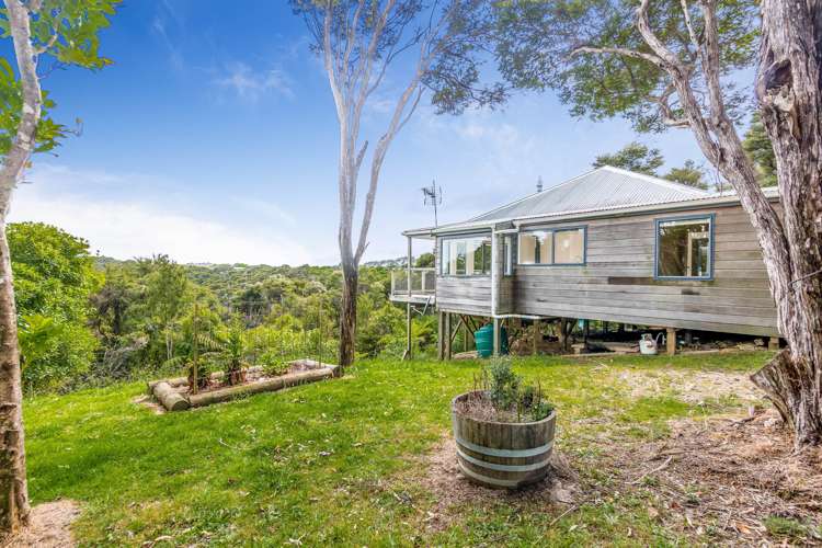 171 Carsons Road Waiheke Island_7