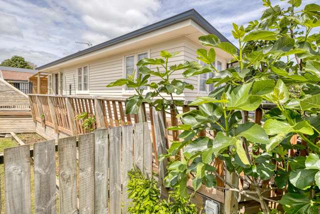 9a Walmsley Street Kihikihi_3