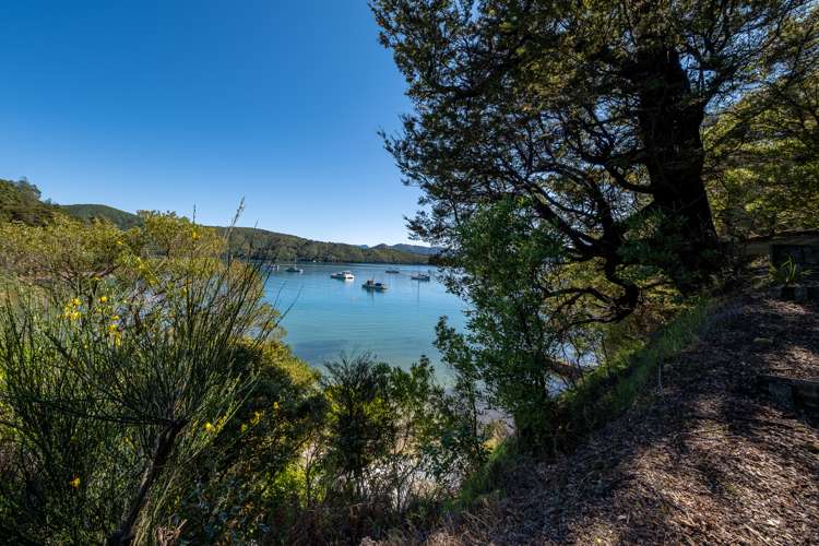 Port Underwood Road Port Underwood_10