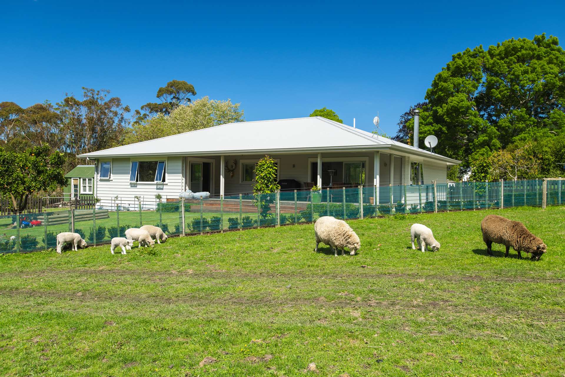 598 Riverside Road Matokitoki_0