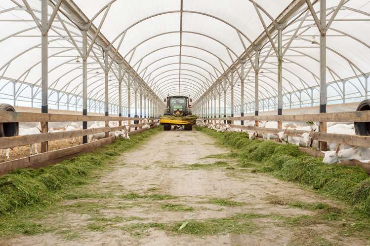 263 Paratu Road, Walton Matamata_26