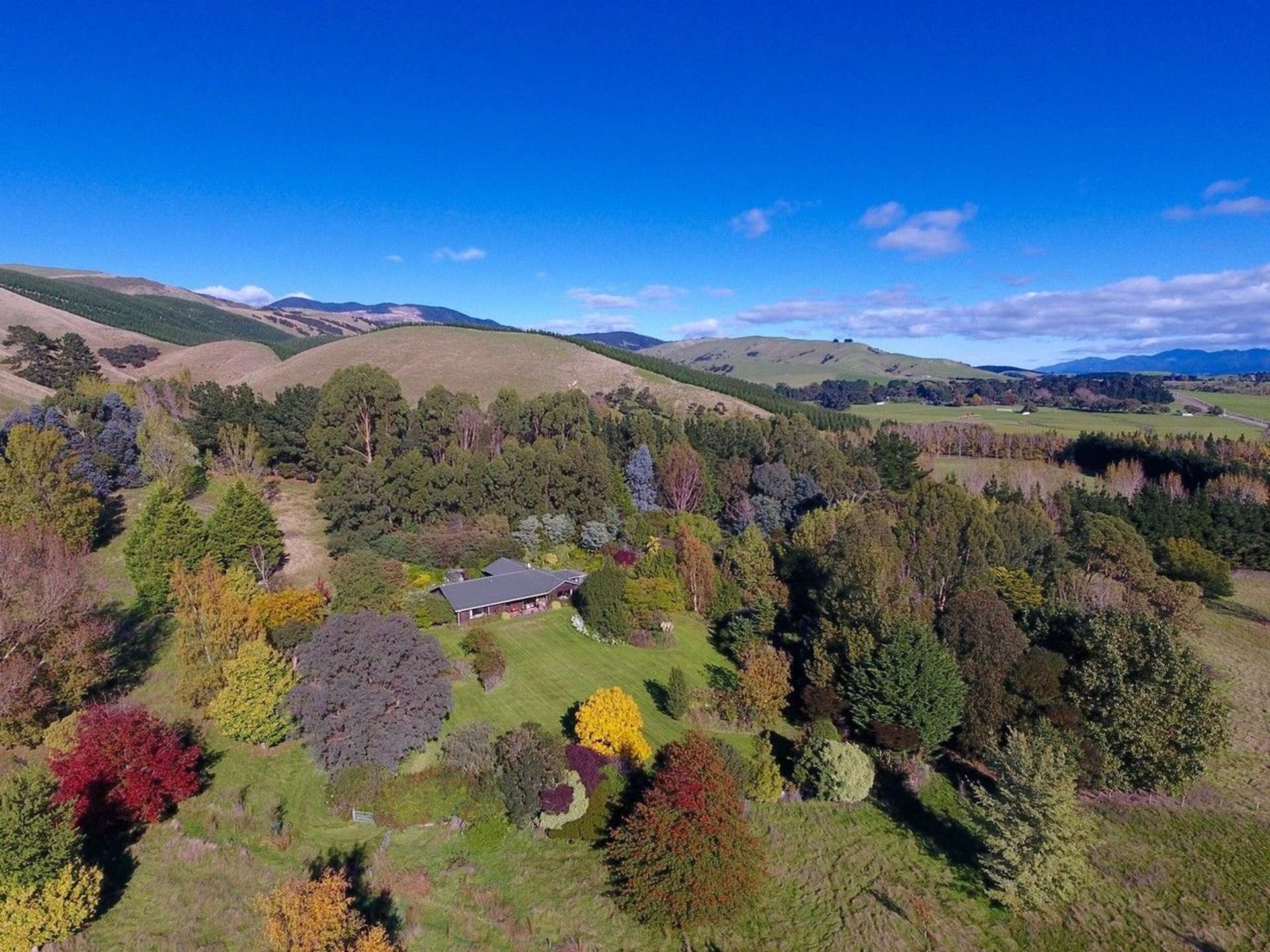 21 Sinclair Way Dyerville_0