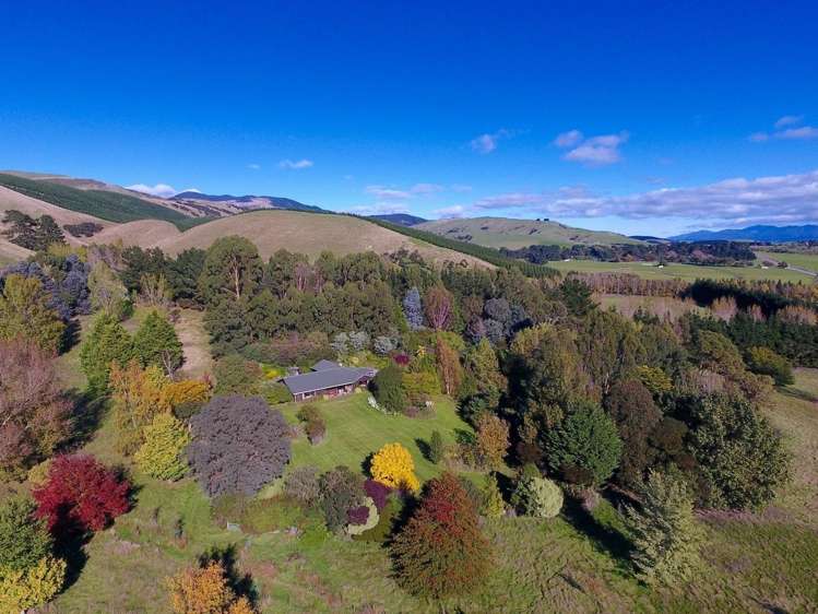 21 Sinclair Way Dyerville_0