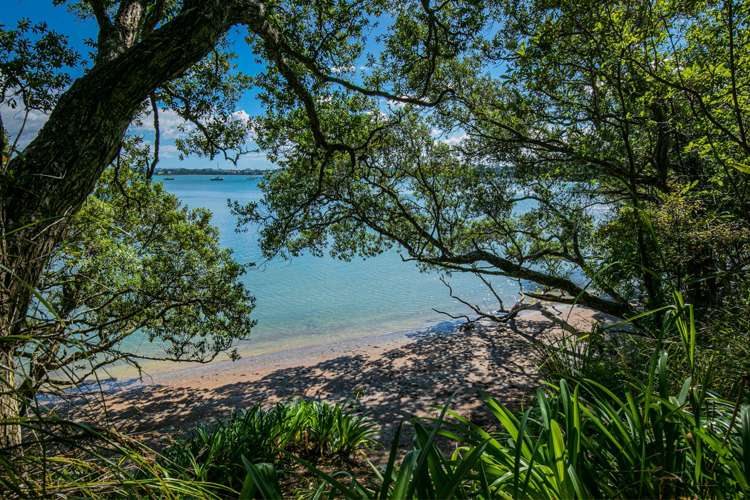 5 Remu Place Greenhithe_2