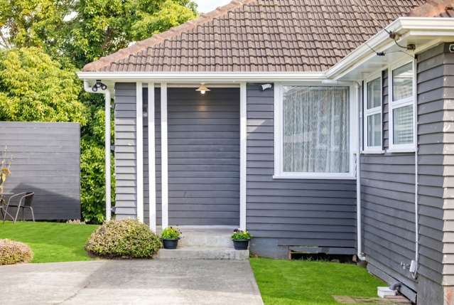 16 Goodwin Avenue Morrinsville_1