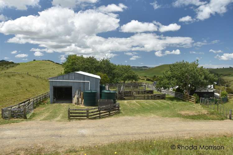 321 Heatley Road Whakapirau_23