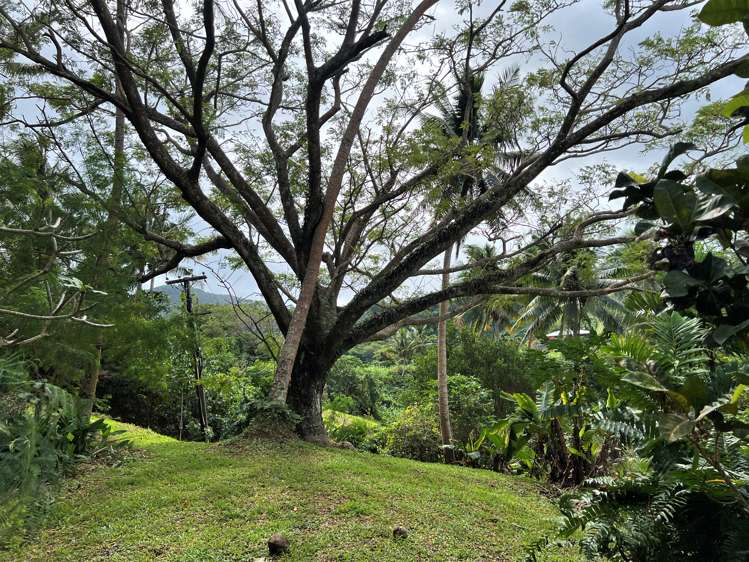 Lot 9 Raintree Estate, Oneva, Savusavu Vanua Levu_18