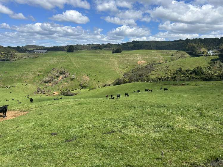 870 Mangati Road Pirongia_6