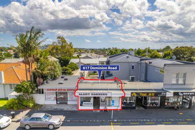 617 Dominion Road Mt Eden_4