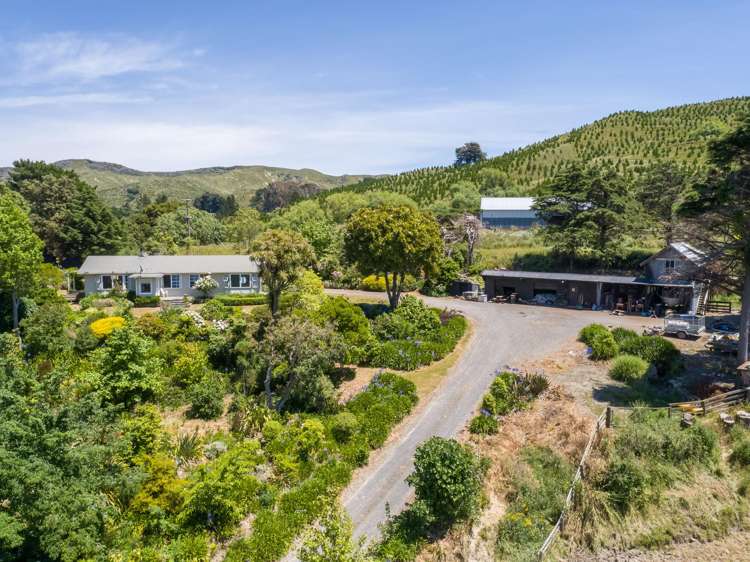 865 Mangamahoe Central Road Masterton_16