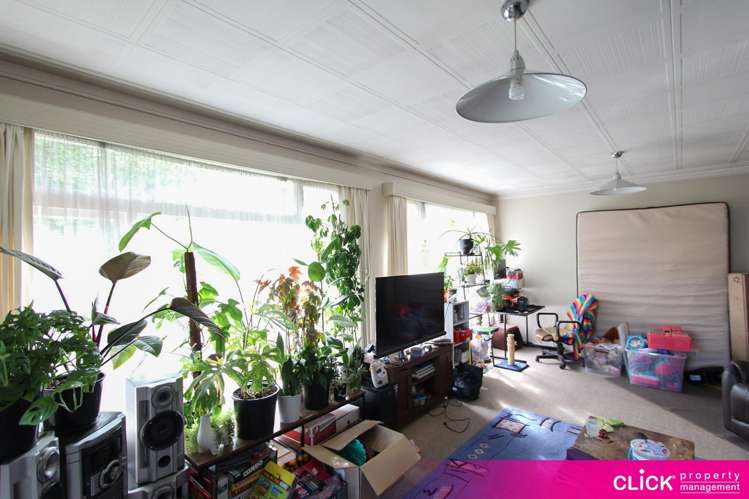 238 Kenmure Road 2506_5