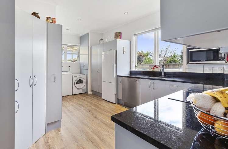 72 Devonshire Road Miramar_8