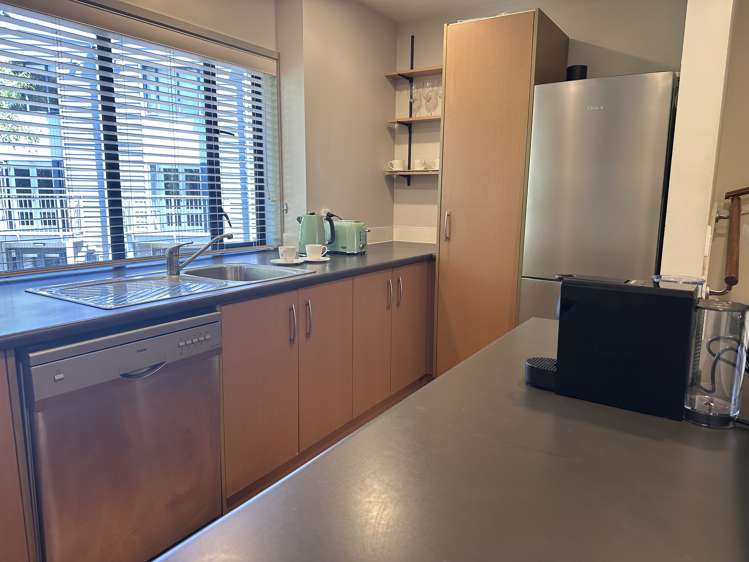 3 Dovedale Place Parnell_3