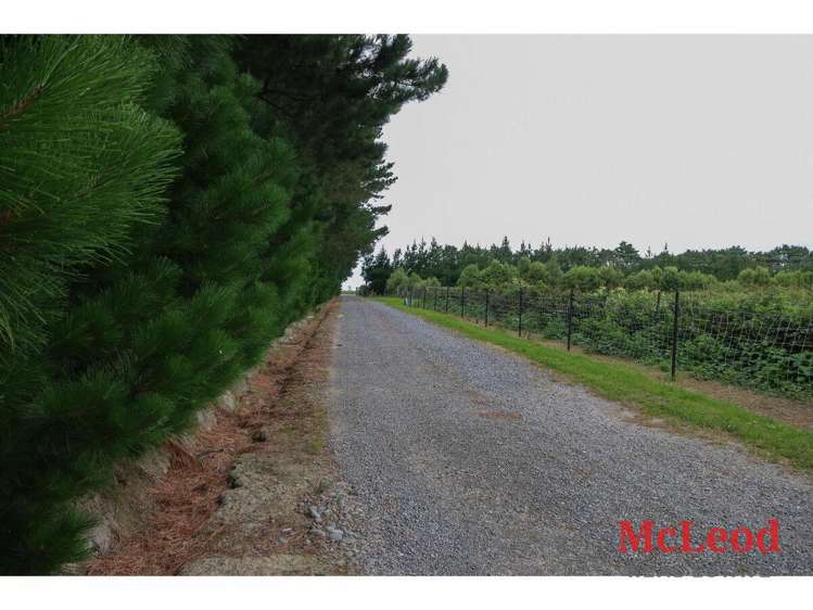 1742 Grahams Road Eiffelton_17