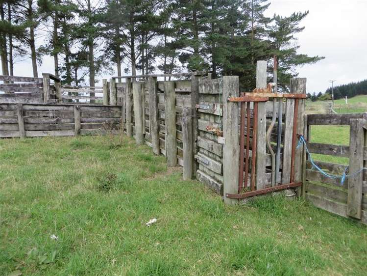 Ovens Road Matakohe_18