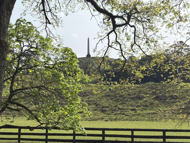 80 Te Kawa Road Greenlane_37