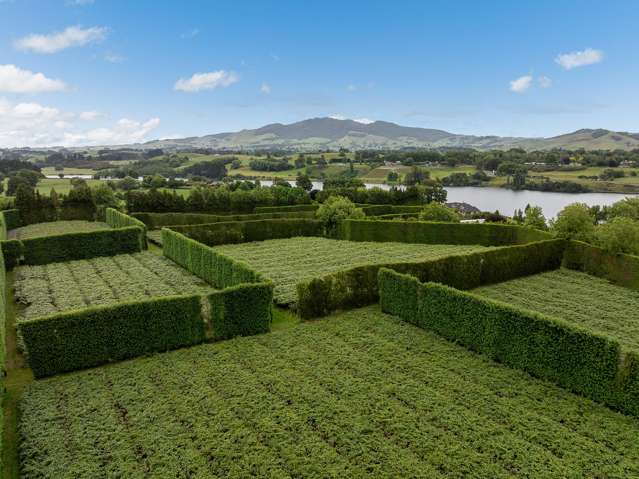 19E Amber Lane Karapiro_3