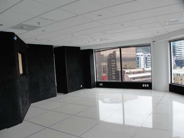 2 Hunter Street Wellington Central_2