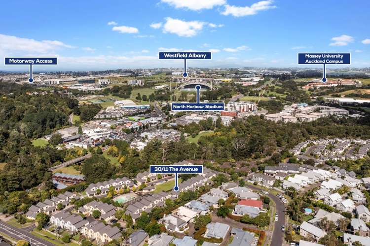 30/11 The Avenue Albany_10