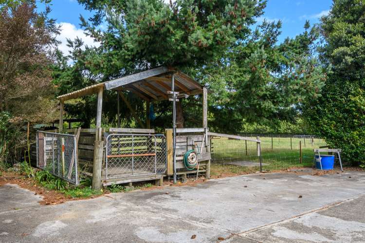 734 Kenepuru Road Mahau Sound_11