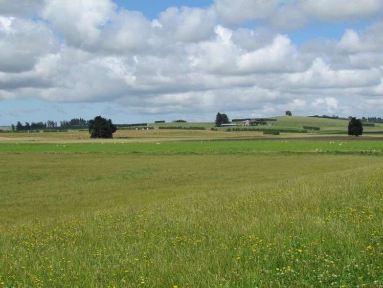 734 Crichton Road Milton_5